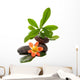Zen Stones With Tropical Wall Decal