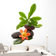 Zen Stones With Tropical Wall Decal