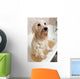 Bathing Havanese Dog Wall Decal
