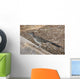 Roadrunner Wall Decal