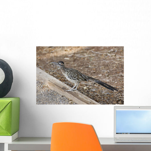 Roadrunner Wall Decal
