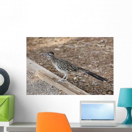 Roadrunner Wall Decal