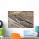 Roadrunner Wall Decal