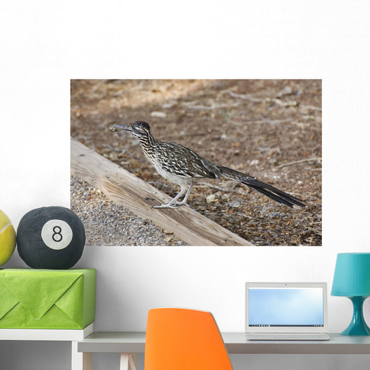 Roadrunner Wall Decal