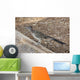 Roadrunner Wall Decal