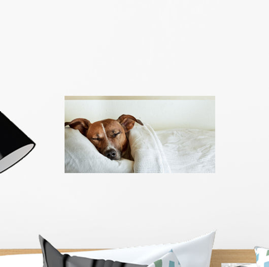 Dog Bed Wall Decal