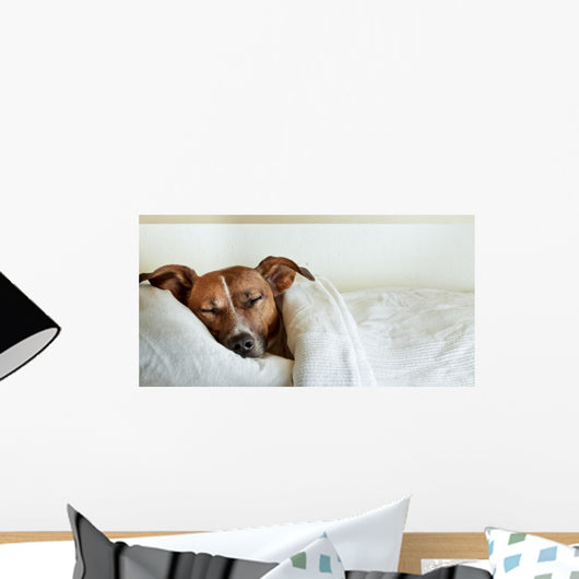 Dog Bed Wall Decal