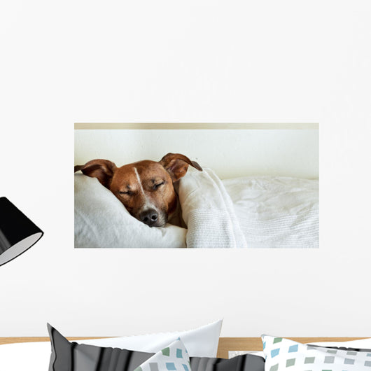 Dog Bed Wall Decal