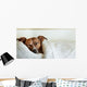 Dog Bed Wall Decal