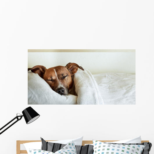 Dog Bed Wall Decal