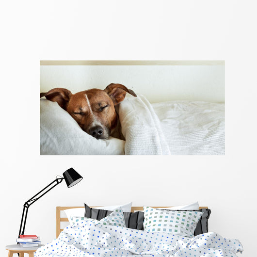 Dog Bed Wall Decal
