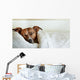 Dog Bed Wall Decal