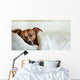 Dog Bed Wall Decal