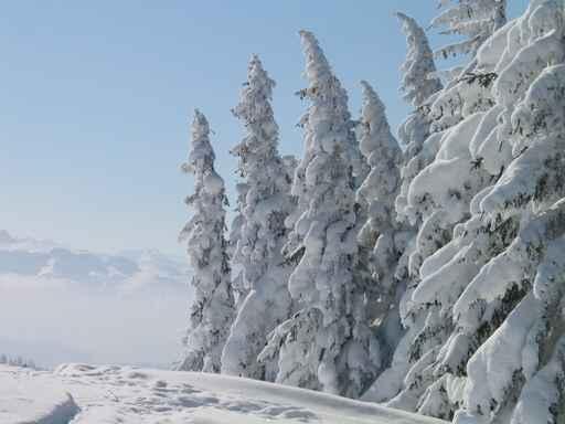 Verschneite Bergwelt Wall Decal