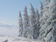Verschneite Bergwelt Wall Decal