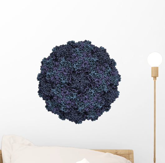 Human Rhinovirus Wall Decal