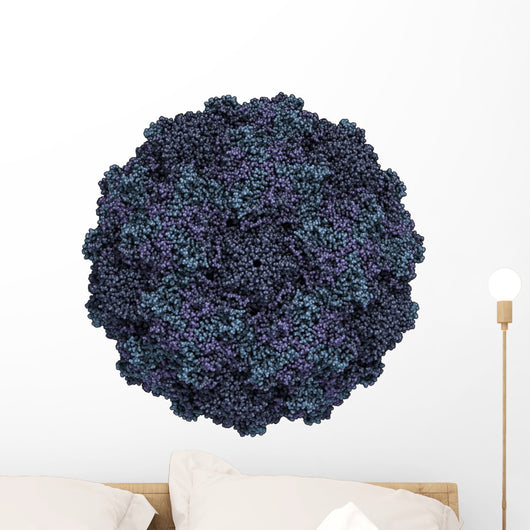 Human Rhinovirus Wall Decal