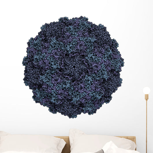 Human Rhinovirus Wall Decal