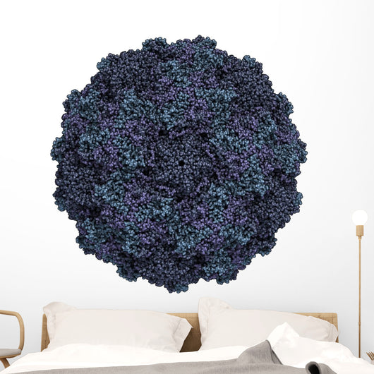 Human Rhinovirus Wall Decal