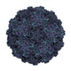 Human Rhinovirus Wall Decal
