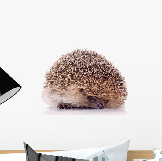 Shy Hedgehog White Wall Decal