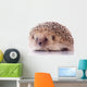 Joli Ha Risson Sur Wall Decal
