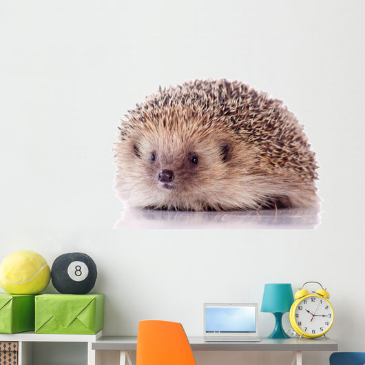 Joli Ha Risson Sur Wall Decal