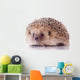 Joli Ha Risson Sur Wall Decal