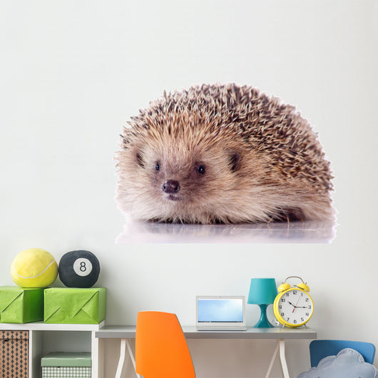 Joli Ha Risson Sur Wall Decal
