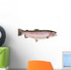 Rainbow Trout Oncorhynchus Mykiss Wall Decal