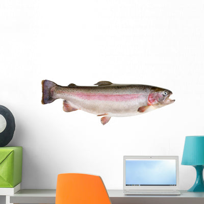 Rainbow Trout Oncorhynchus Mykiss Wall Decal shown on a wall