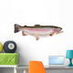 Rainbow Trout Oncorhynchus Mykiss Wall Decal