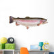 Rainbow Trout Oncorhynchus Mykiss Wall Decal