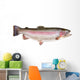 Rainbow Trout Oncorhynchus Mykiss Wall Decal