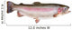 Rainbow Trout Oncorhynchus Mykiss Wall Decal