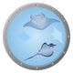 Porthole and Manta Rays Cartoon Wall Decal