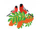 Bullfinch Branch With Sea Wall Decal