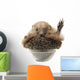 Standing Hedgehog Wall Decal