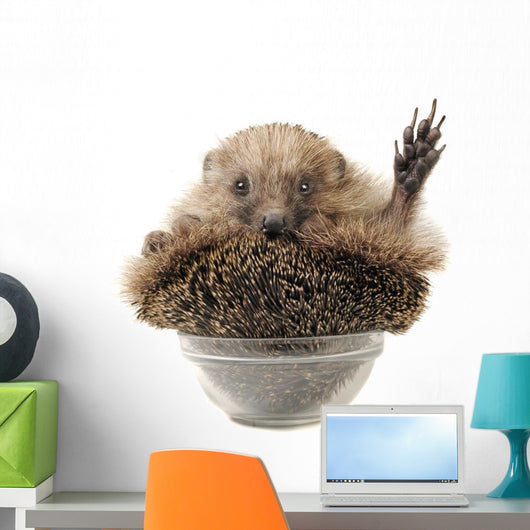 Standing Hedgehog Wall Decal