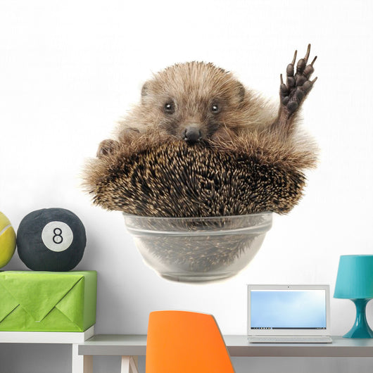 Standing Hedgehog Wall Decal