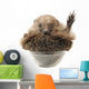 Standing Hedgehog Wall Decal