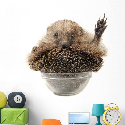 Standing Hedgehog Wall Decal