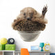 Standing Hedgehog Wall Decal