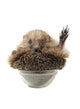 Standing Hedgehog Wall Decal