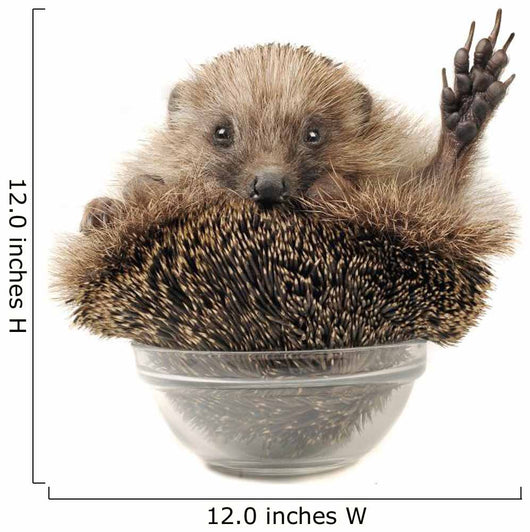 Standing Hedgehog Wall Decal