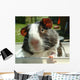 Guinea-Pig Wall Decal
