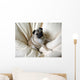 Pug Wall Decal