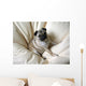 Pug Wall Decal