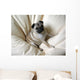 Pug Wall Decal