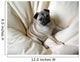 Pug Wall Decal